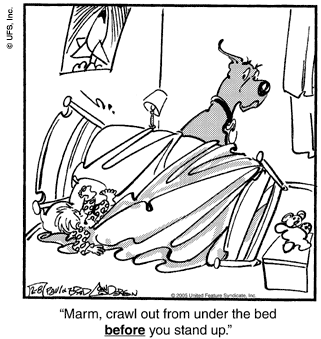 marmaduke